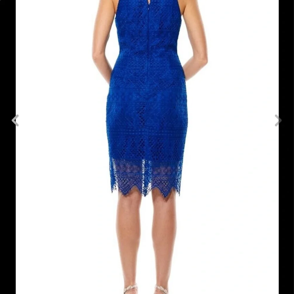 Laundry by Shelli Segal Dress - Picture 3 of 13